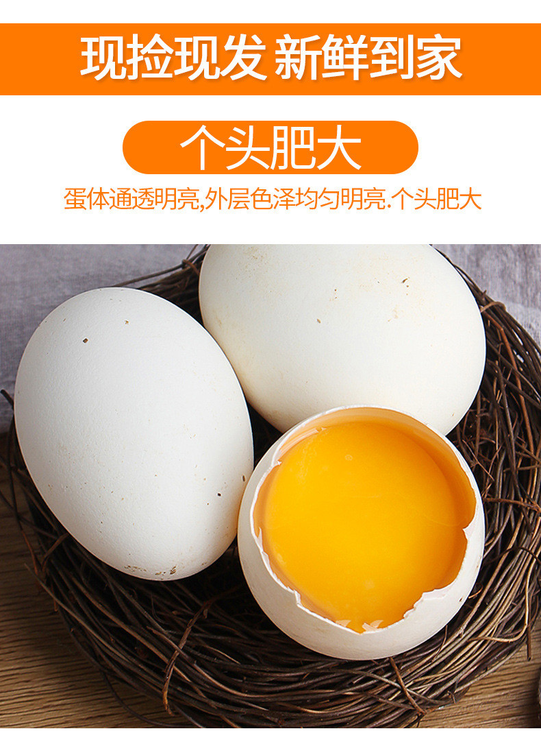 宛味宝【领劵减5元】新鲜鹅蛋新鲜农家散养生鹅蛋6/12枚可选