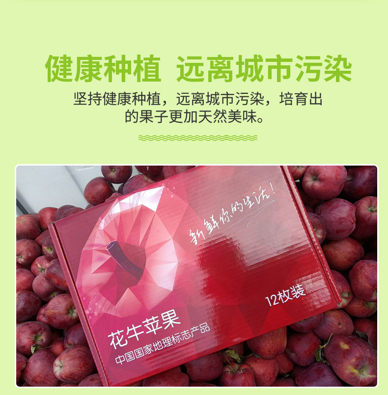 粤迎 【领劵减10元】甘肃花牛苹果礼盒装新鲜粉面孕妇水果国产红蛇果