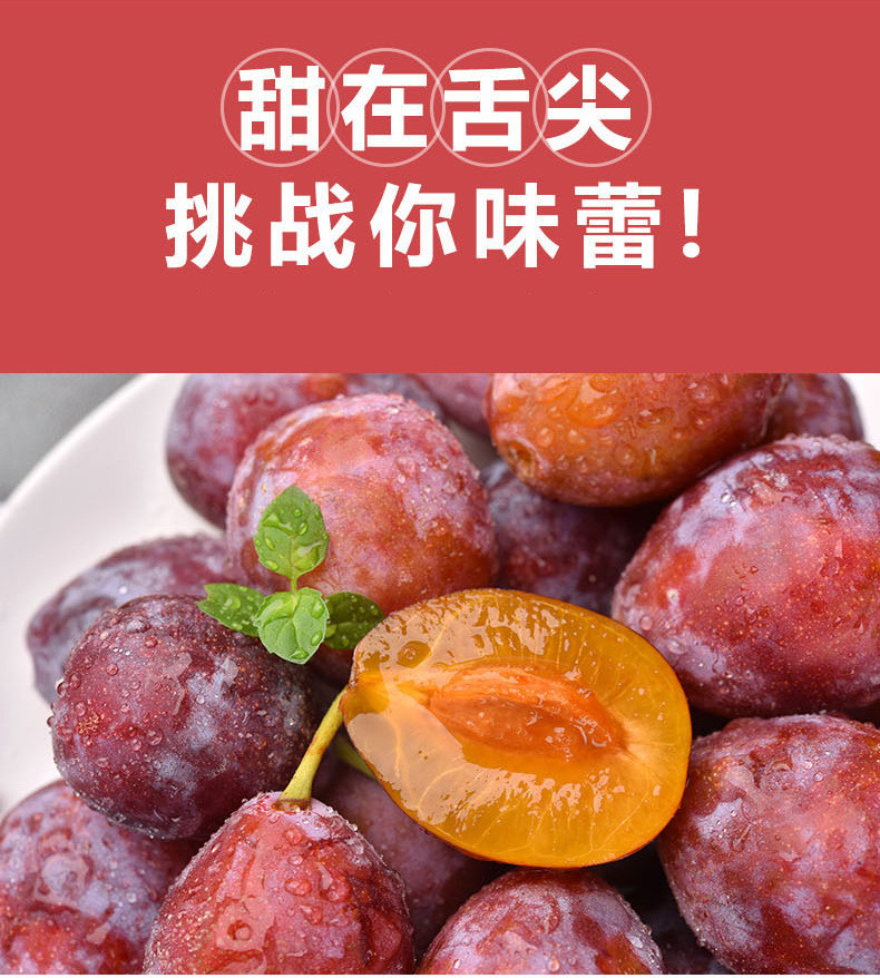 粤迎 【领劵减10元】西梅新鲜水果当季李子