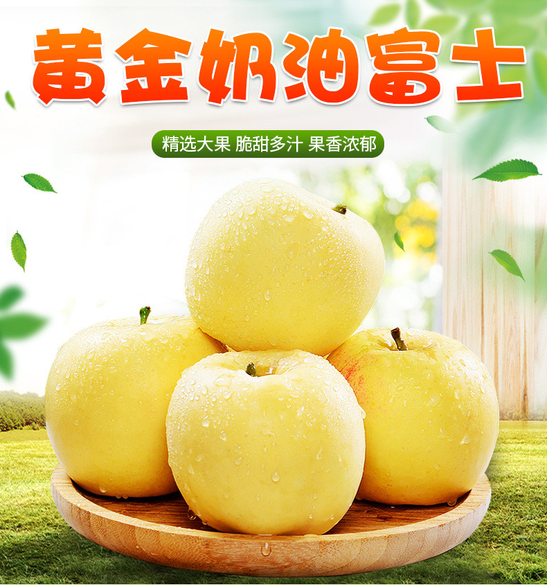 粤迎 【领劵减5元】山东黄金奶油富士新鲜水果冰糖心脆甜苹果