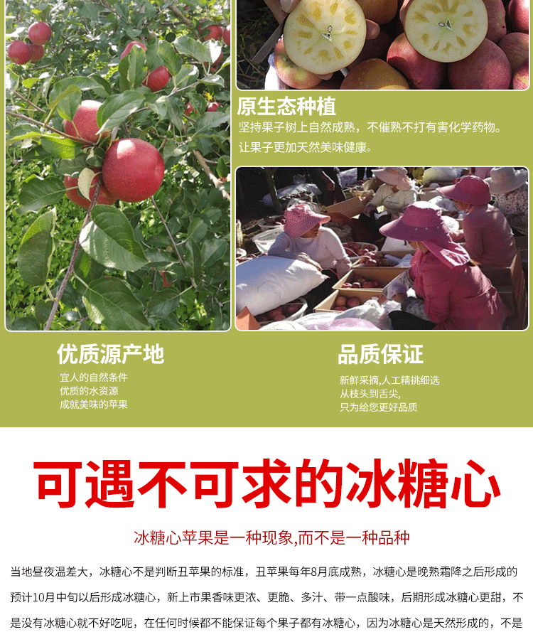 粤迎 【领劵减5元】四川丑苹果冰糖心红富士新鲜水果