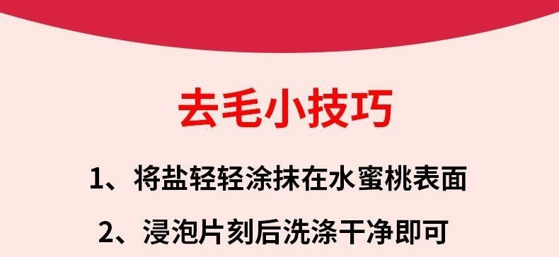 农家自产 蒙阴水蜜桃应季水果脆甜毛桃新鲜桃子