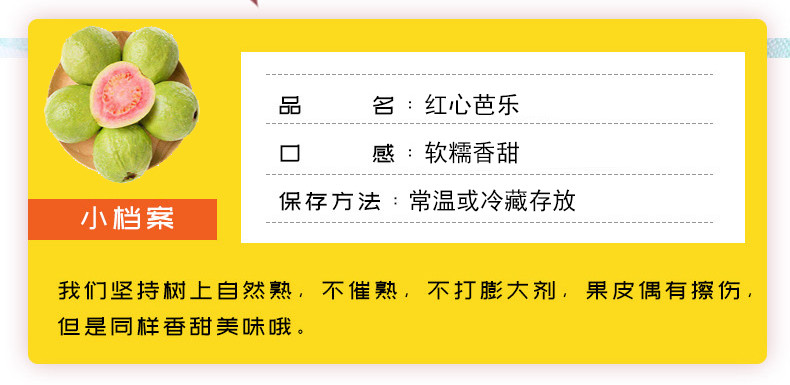 农家自产 软糯红心芭乐新鲜水果番石榴