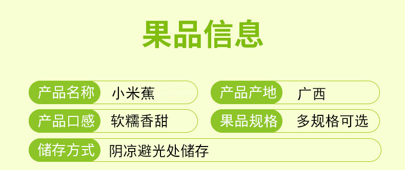 农家自产 广西小米蕉新鲜水果甜糯青香蕉