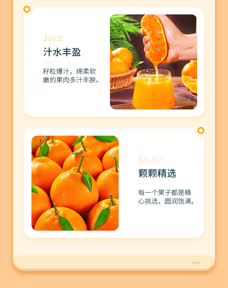 农家自产 四川春见耙耙柑桔新鲜水果当季丑粑粑橘子