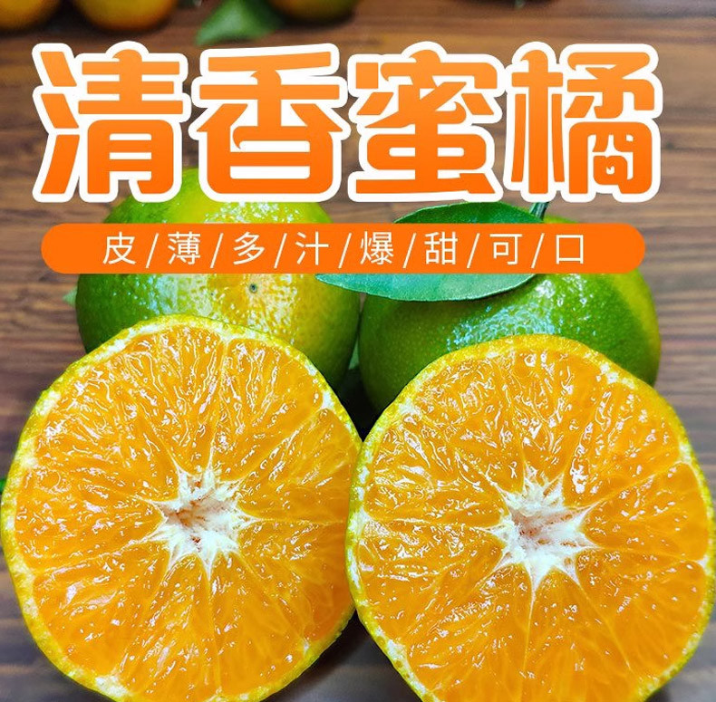 农家自产 广西桂林清香蜜桔当季清香茶橘子新鲜水果青皮柑