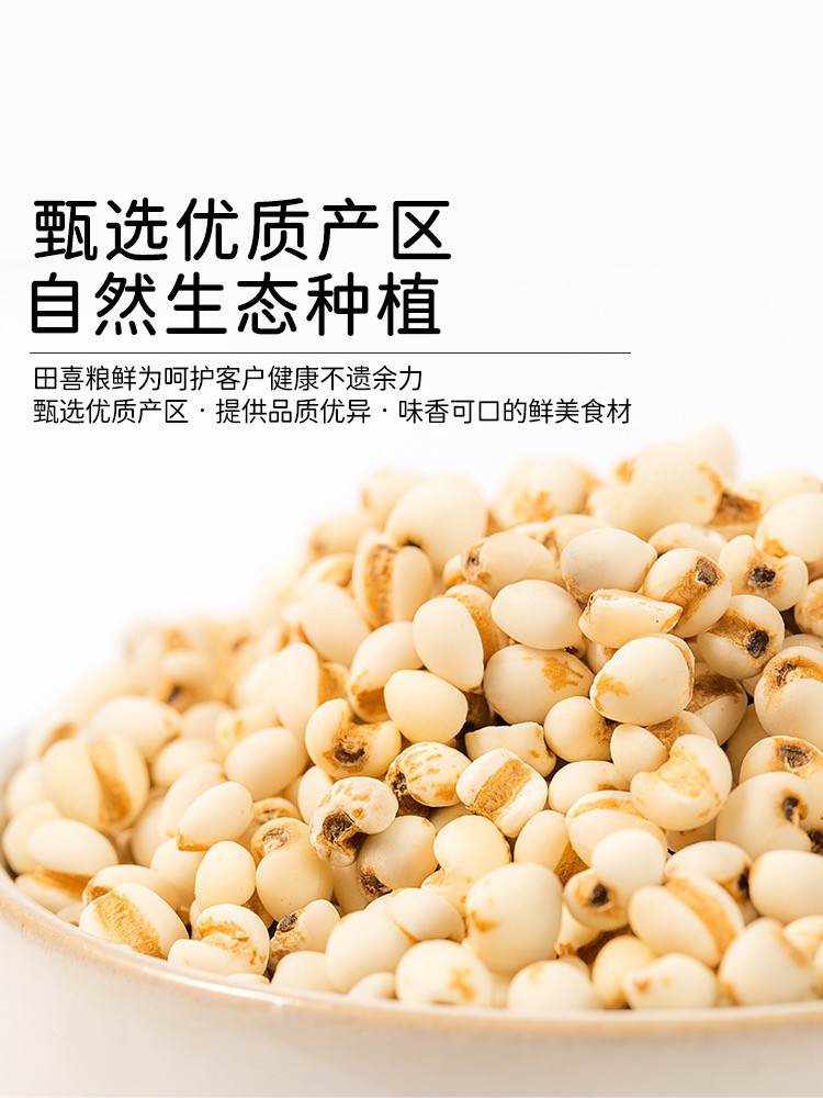 农家自产 五谷杂粮薏仁米500g/袋（箱装）