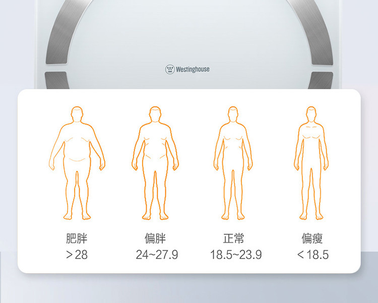 西屋/Westinghouse 体脂称T202