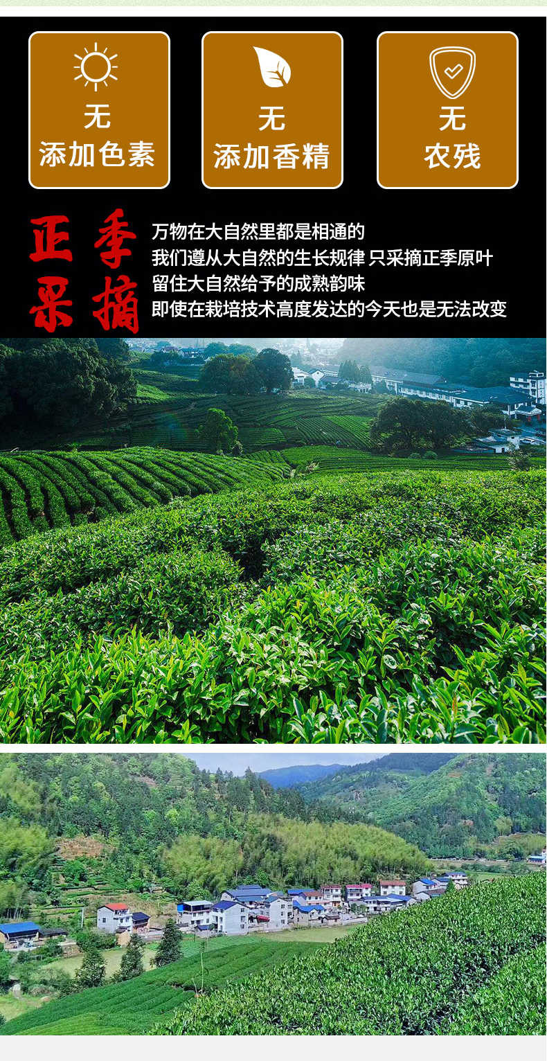 【限量特惠】农夫乡情宜昌特产高山云雾炒青绿茶50g袋装