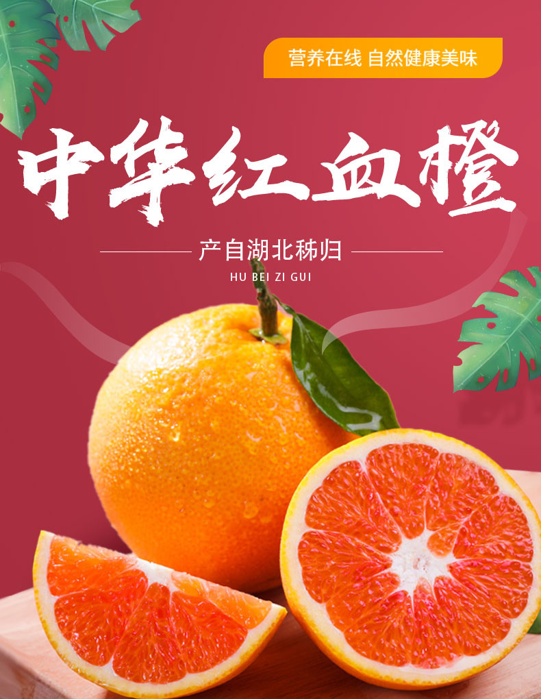 鑫勇泰 秭归脐橙中华红橙5斤中大果