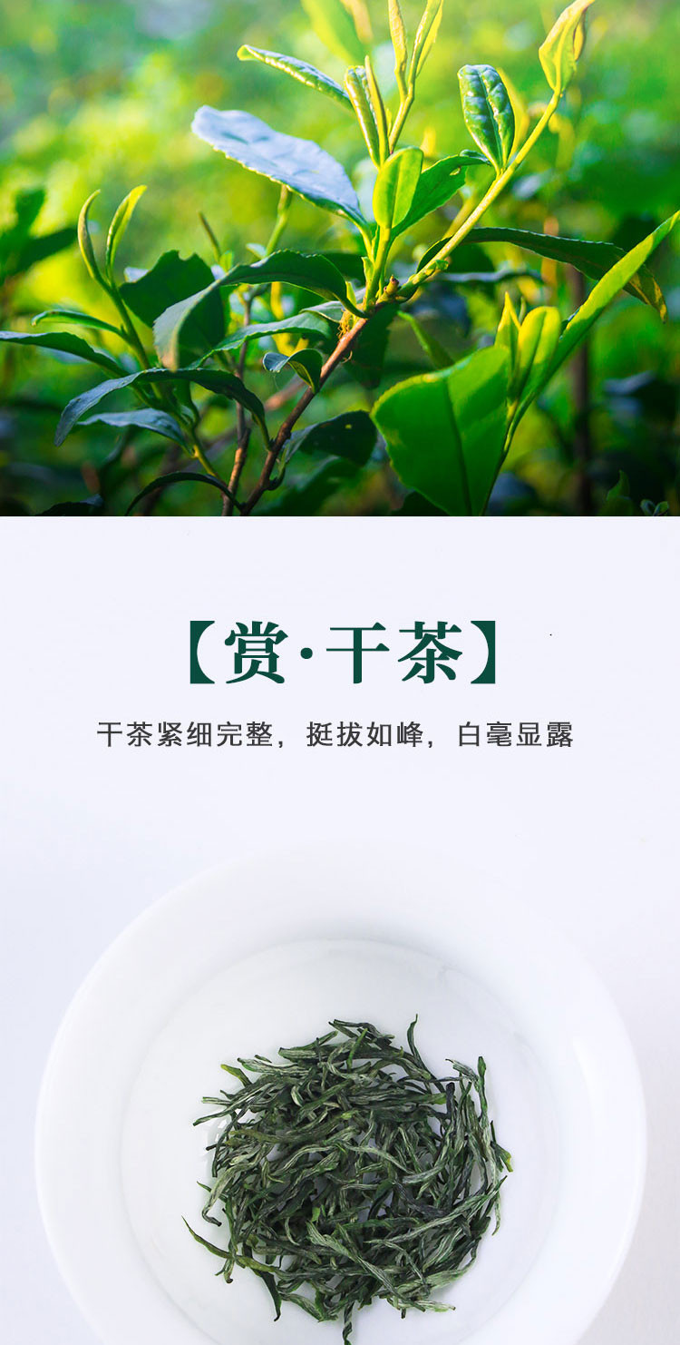 长盛川 宜昌毛尖袋装特级