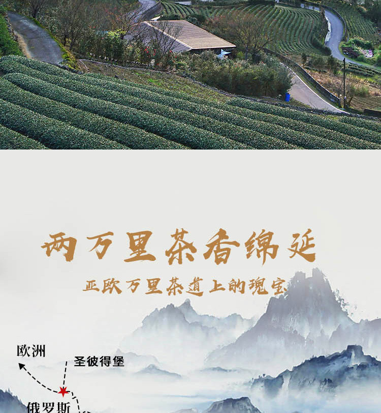 长盛川 经典青砖茶黑茶罐装办公用茶