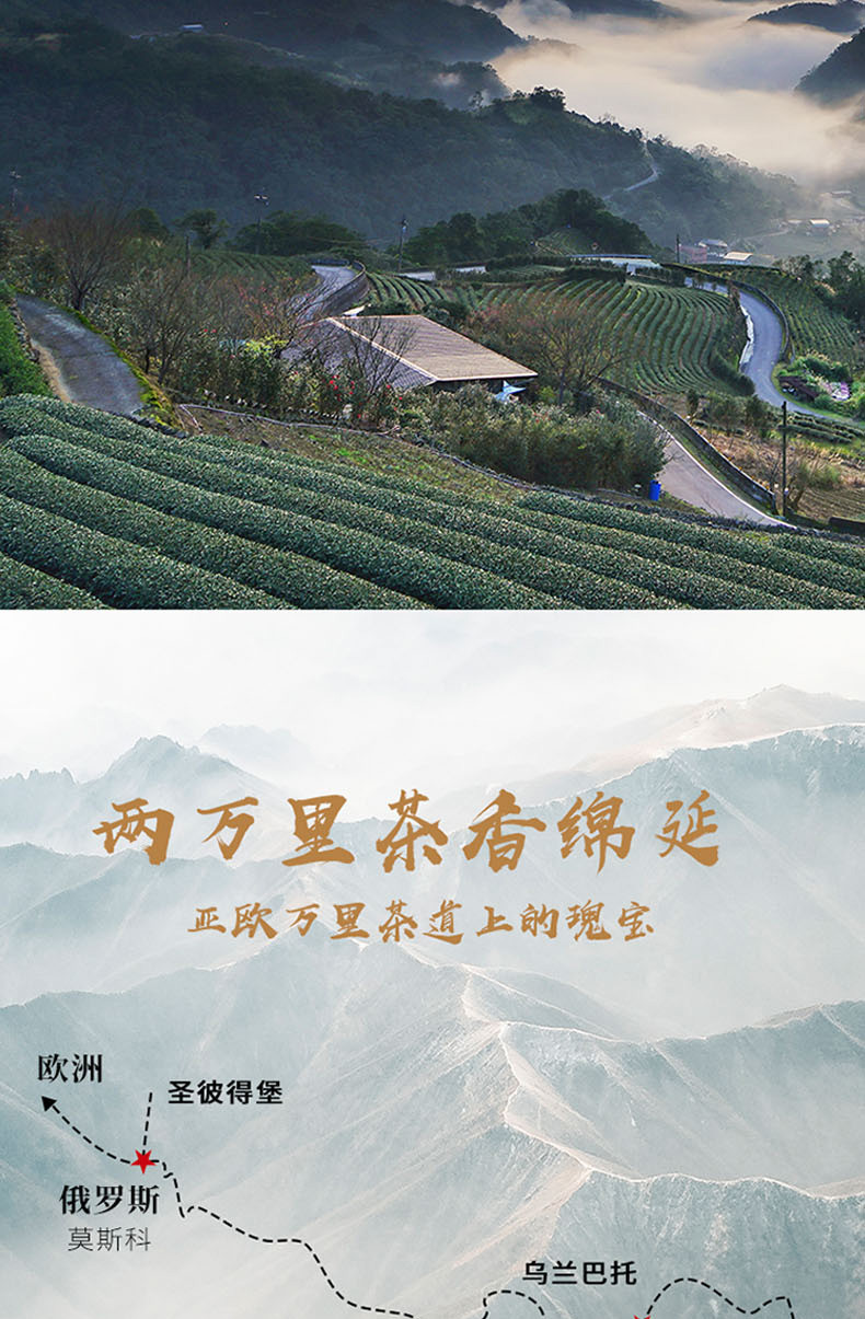 长盛川 巧克力型青砖茶黑茶便携式