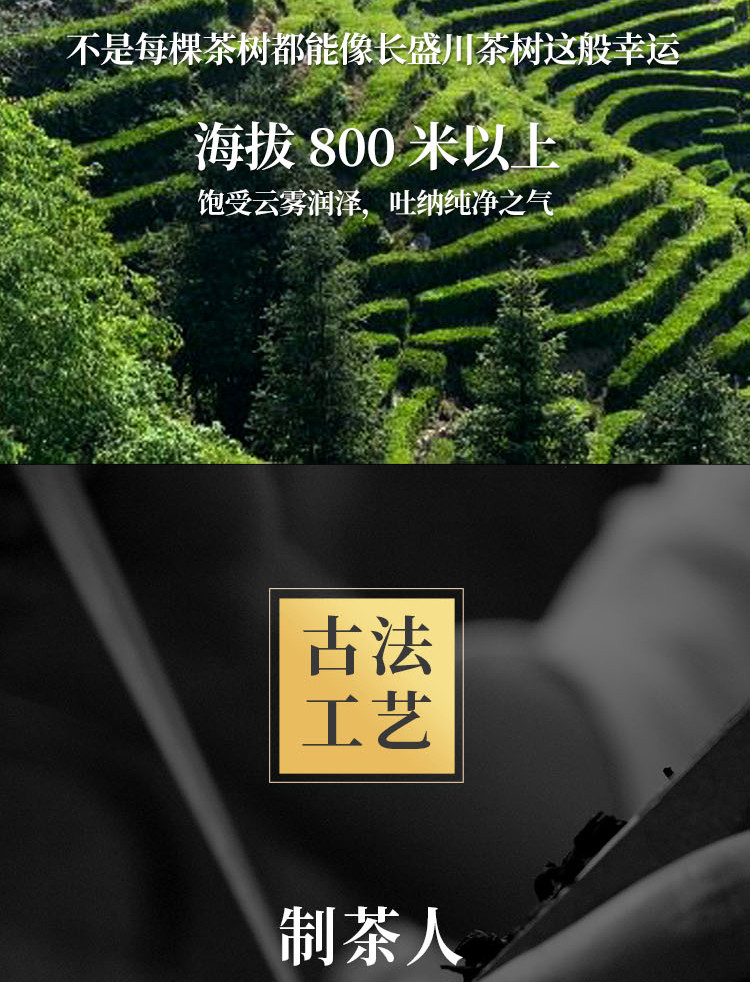 长盛川 茗礼青砖茶黑茶青砖茶伴手礼