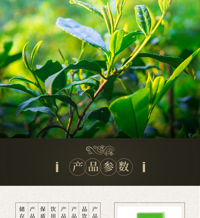 长盛川 2024年新茶罐装毛尖绿茶