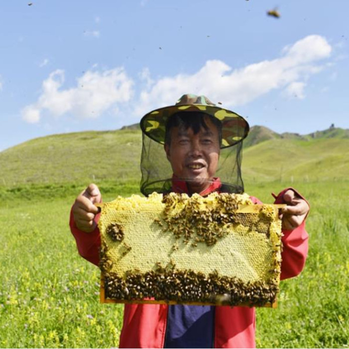 农家自产 屏山蜂蜜500g