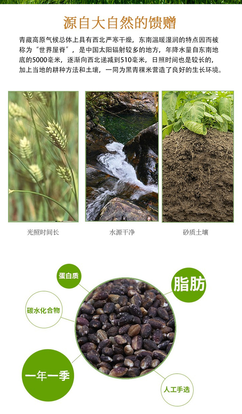 青藏部落 粗粮五谷杂粮 青稞米 500g