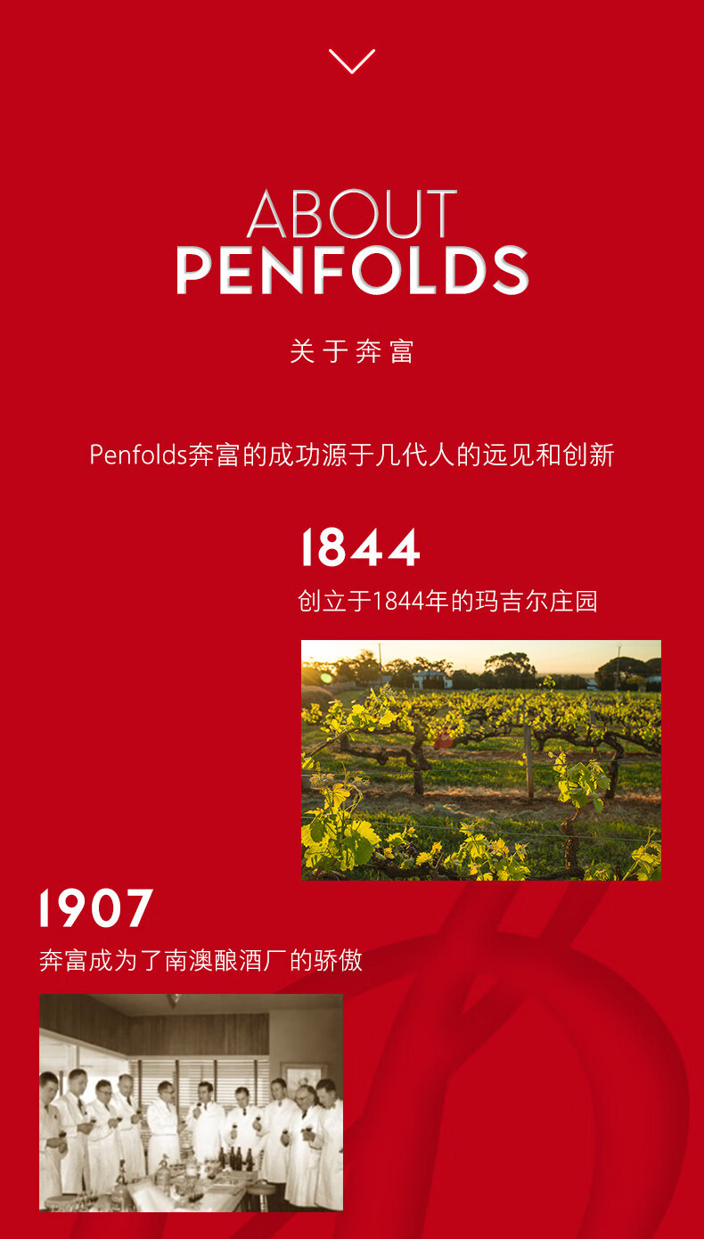 奔富 Penfolds BIN28澳洲原瓶进口设拉子干红葡萄酒