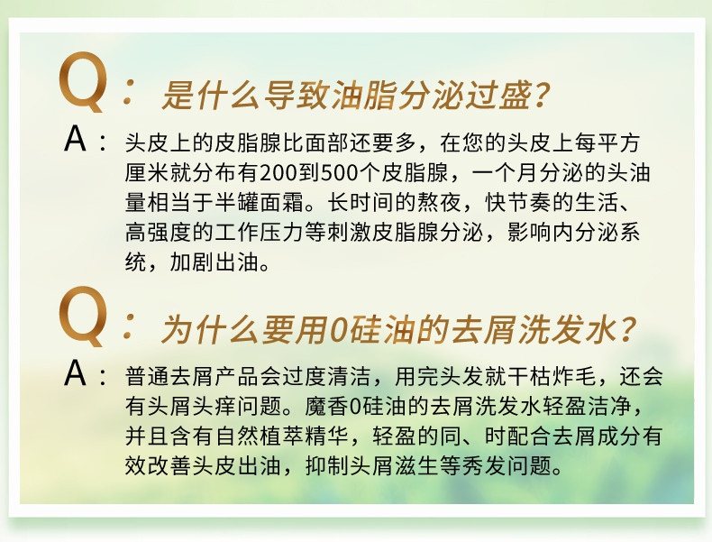 魔香绿茶洗发水沐浴露控油去屑止痒氨基酸持久留香改善毛躁 500g/瓶