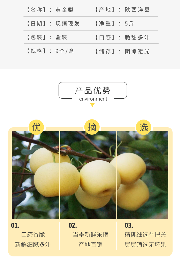 农家自产 陕西洋县黄金梨现摘精选新鲜优质黄金梨