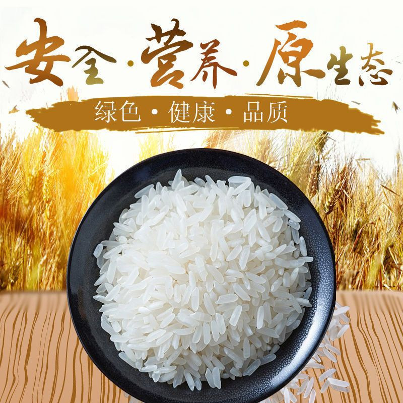 农家自产 陕西汉中特产洋县香米5斤真空包装新米