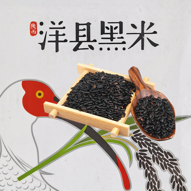 农家自产 陕西土特产黑米食补国宝洋县康原有机黑米