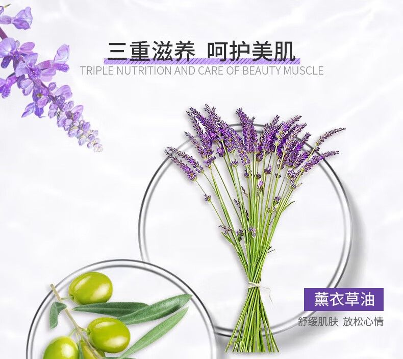 安安金纯 薰衣草倍润防燥润体乳350g 止痒保湿持久留香