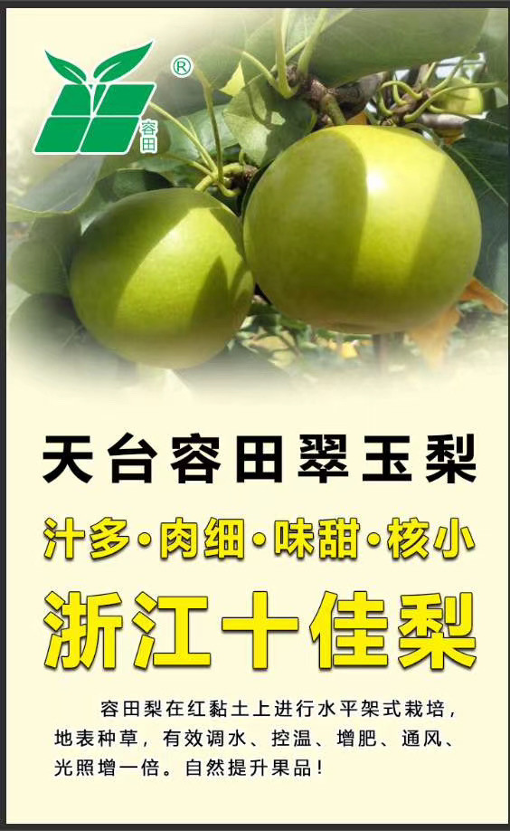 农家自产 天台本地新鲜翠玉梨礼盒装6斤