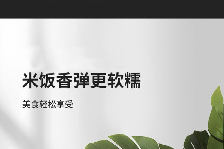 九阳/Joyoung 电饭煲家用厨房多功能高颜值土灶铁釜内胆4L大容量智能可预约IH加热 F40T-