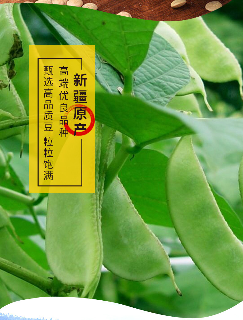 新疆小扁豆五谷杂粮豆农家可生豆芽新豆兵豆煮粥食材 当季新品 500g*3袋