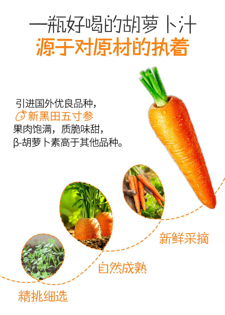 神内（GINNAI） 新疆胡萝卜汁饮料238ml*20瓶绿色食品果蔬汁轻断食代餐