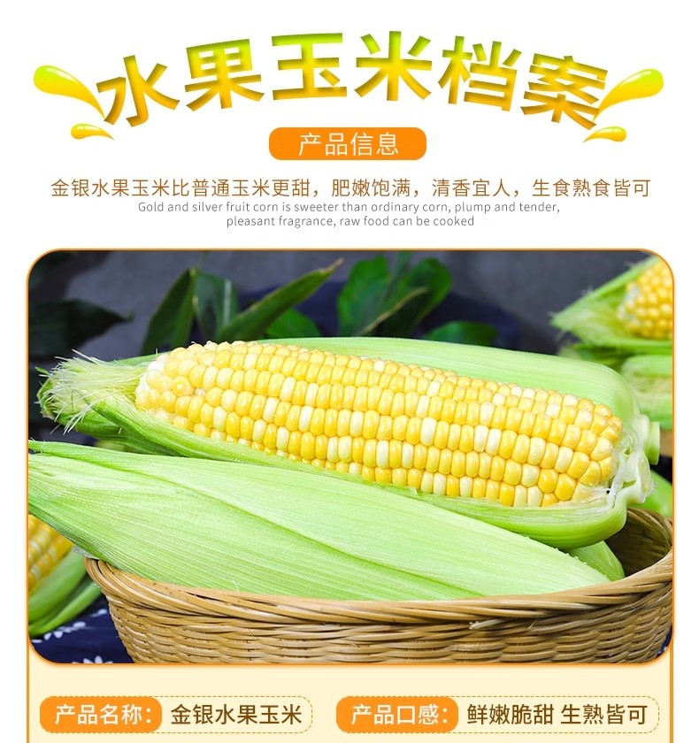 晨弘 新鲜玉米