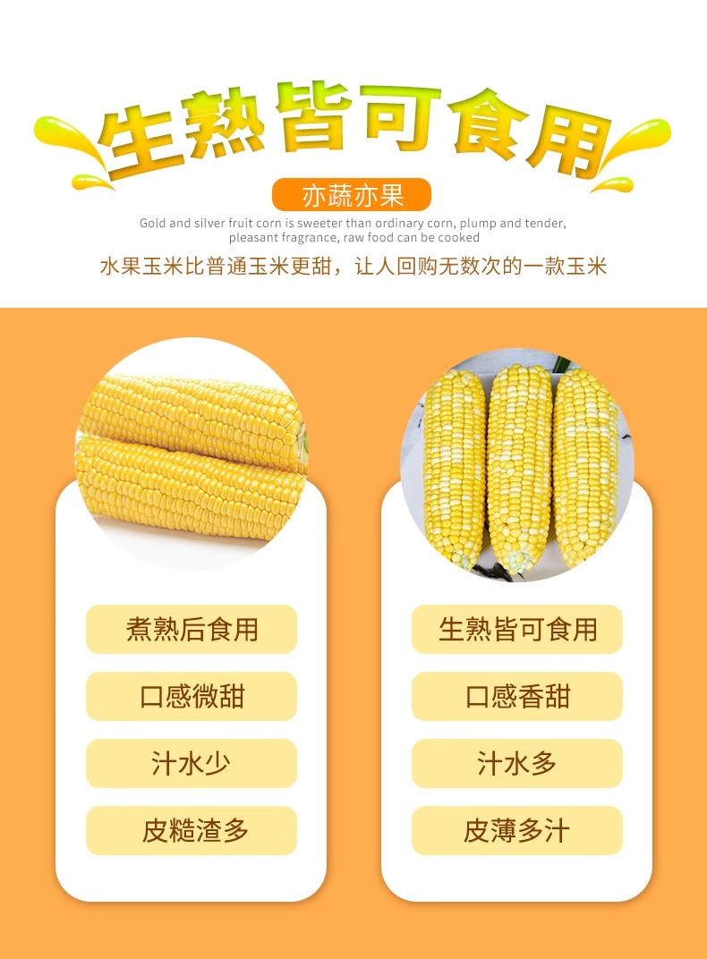 晨弘 新鲜玉米