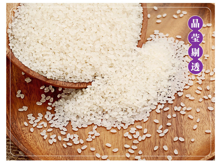 凯如 凯如东北珍珠米5kg  圆粒米，当季新米 粒粒圆润，色泽光亮，