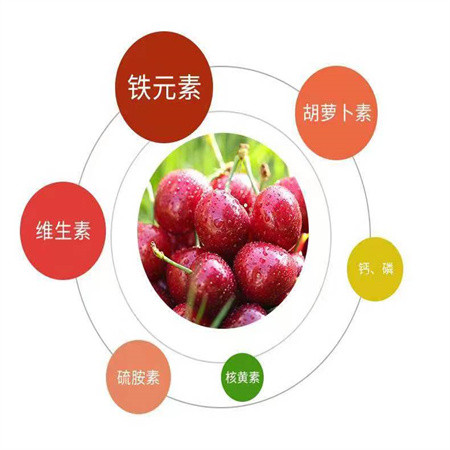 荣华果业/RONGHUA FRUIT 陕西·黄陵樱桃1.5KG