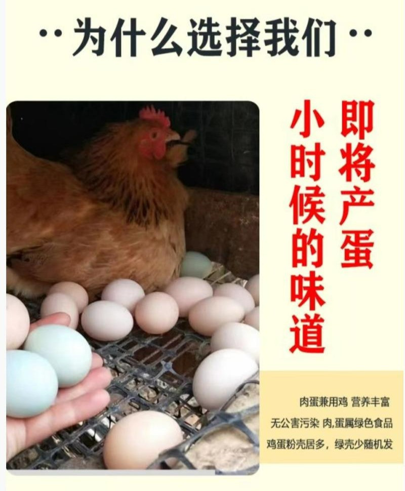 禾鲜达 农家散养土鸡蛋 30枚