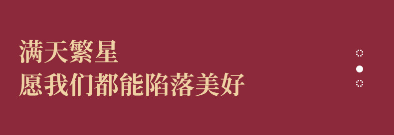 徽羚羊 LED星星灯满天星创意浪漫露营帐篷氛围灯  2米10灯*3串