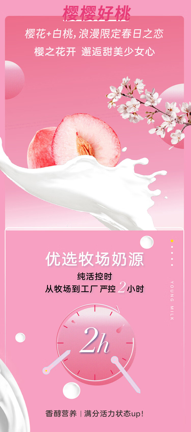 君乐宝 白小纯新鲜壶樱花白桃牛奶200ml*12