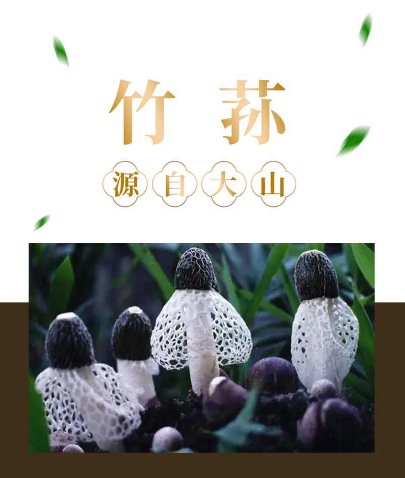 食百道 竹荪10g/盒 优质云南菌菇 煲汤食材