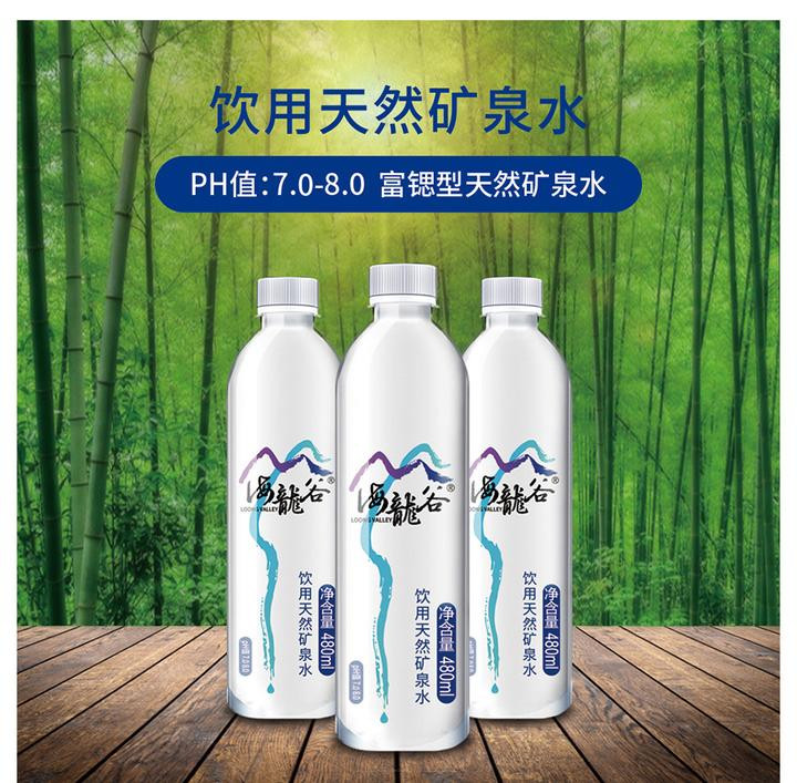 贵州宝之源 海·龙·谷天然矿泉水 480毫升/瓶 * 24瓶/箱 弱碱性富锶型健康矿泉水