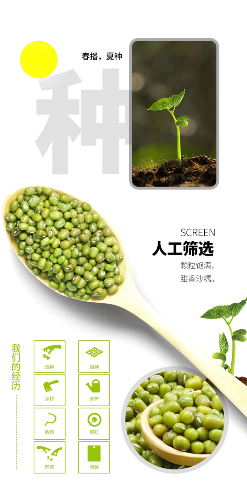 食百道 优质绿豆400g/袋 优质云南杂粮 易煮易烂 米粒饱满 天然翠绿