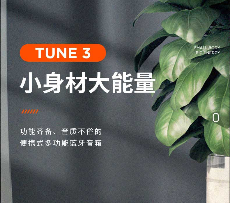 JBL TUNE3 多功能插卡蓝牙音箱手机播放器 FM收音机TF卡