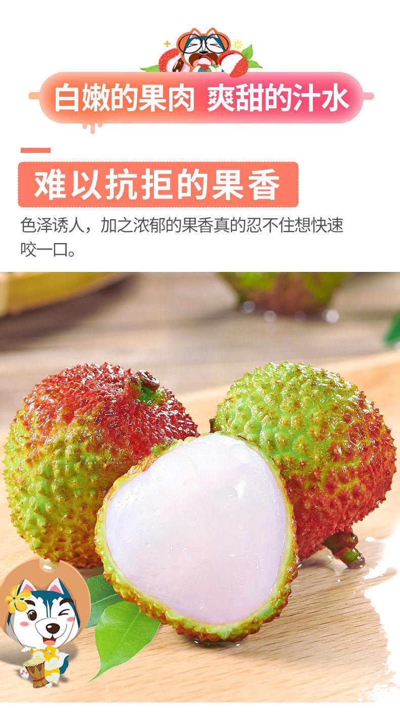 广西灵山荔枝新鲜水果现摘现发白糖罂黑叶桂味冷冻整箱2/6斤