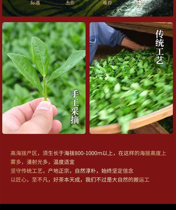 州佐ZHOUZUO 铁观音【兰花香】正宗新茶安溪铁观音高山清醇500g/250g