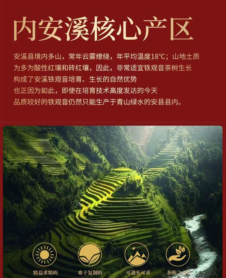 州佐ZHOUZUO 铁观音【兰花香】正宗新茶安溪铁观音高山清醇500g/250g