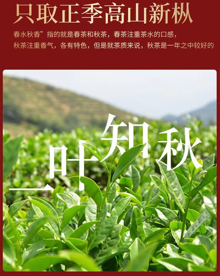 州佐ZHOUZUO 铁观音【兰花香】正宗新茶安溪铁观音高山清醇500g/250g