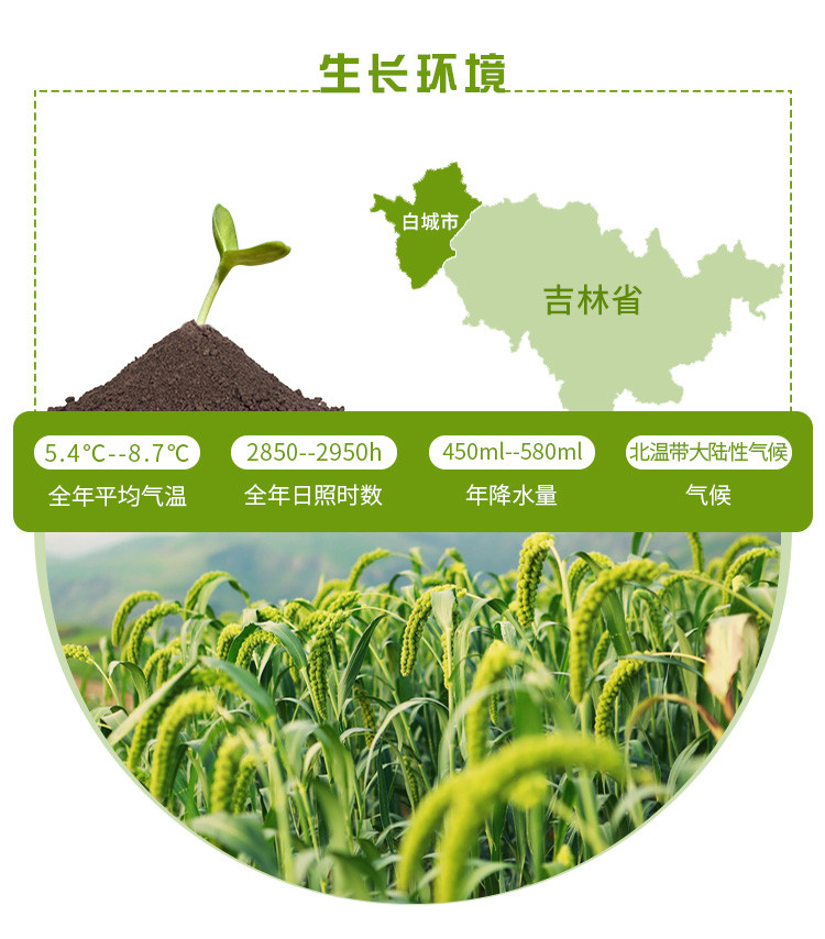 【杂粮】 通榆县满榆黑豆 1kg 东北五谷杂粮包邮