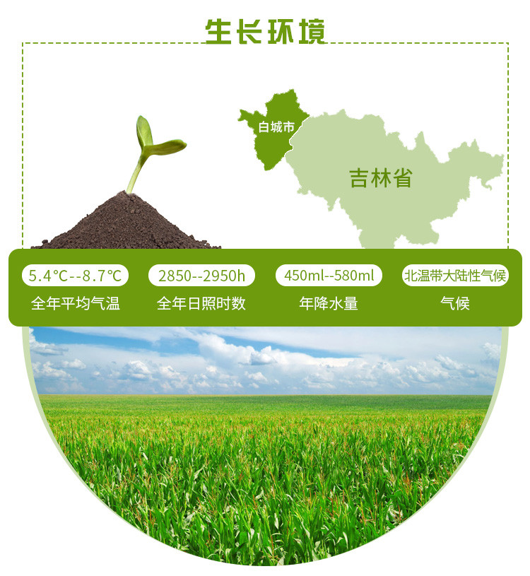 【玉米】 通榆县满榆东北泊铝玉米碴400g 东北杂粮 非转基因玉米碴