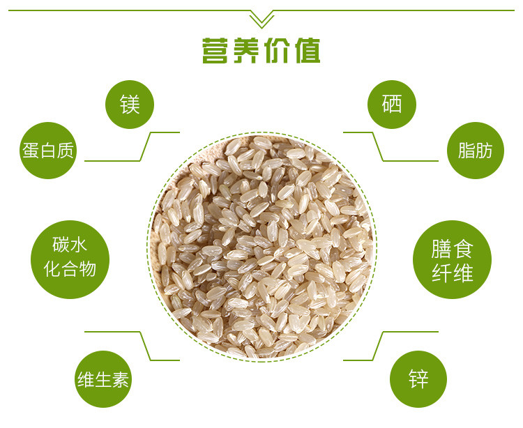 【杂豆】 通榆县满榆东北真空糙米400g 东北杂粮 非转基因糙米