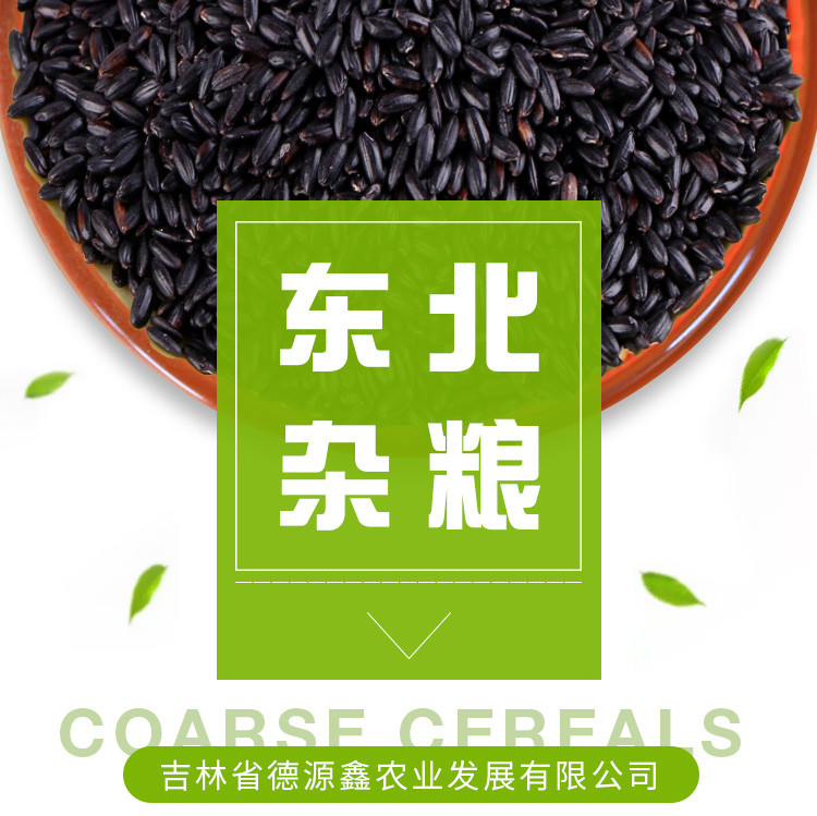 【杂粮组合】 通榆县营养豆浆组合豆（花生+黑米）